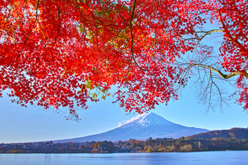 Naklejka premium 秋の河口湖から見る富士山と紅葉