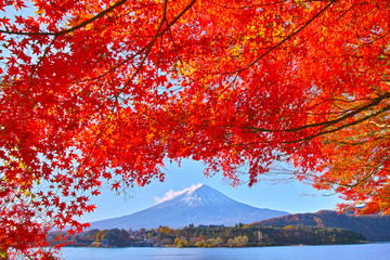 秋の河口湖から見る富士山と紅葉 Wall Mural Wallpaper Murals 7maru