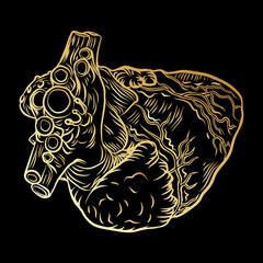 Heart in flesh tattoo concept. Anatomic human heart Symbol of love, Valentine's day heart t-shirt design. Vector