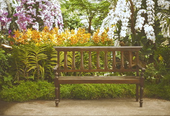 Wood chair in orchid garden / Background photo : film style photography