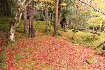 若狭神宮寺の秋景色
