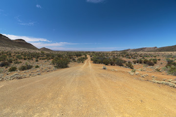 Fototapeta na wymiar Outback Desert Road