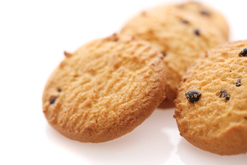 Chocolate chip cookie isolated in white background