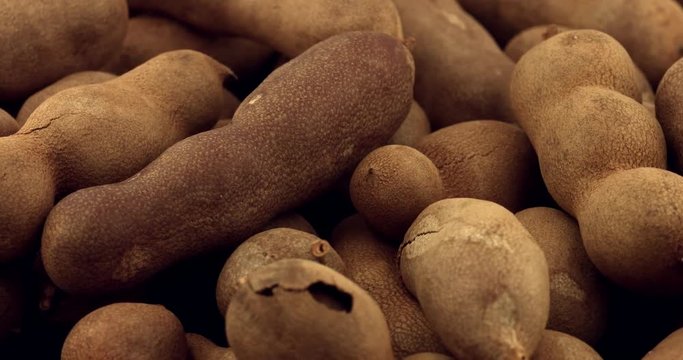 Ripe Tamarind fruits.Sweet ripe tamarinds.