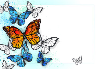 Background with monarchs and morpho