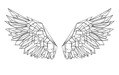 Polygonal wings