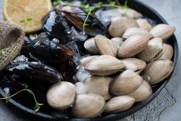 Close-up of raw iced vongole clams and mussels, selective focus, shallow depth of field