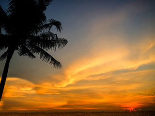 Obraz na płótnie Canvas sunset last light and silhouette coconut in left
