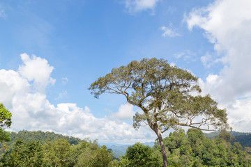 Obraz premium Mountain landscape and blue sky and white cloud with copy space.