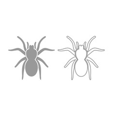 Spider or tarantula icon. Grey set .