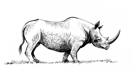Big white rhinoceros. Black and white ink illustration