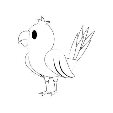 Cute parrot bird cartoon