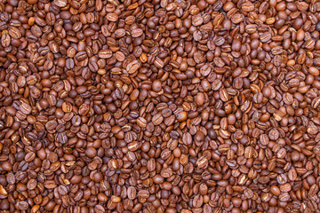 Freshly roasted coffee beans, medium roast close-up
