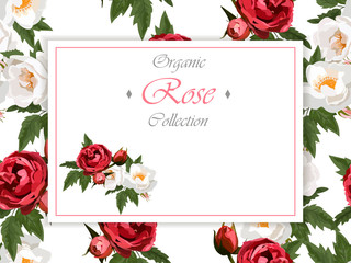 roses and butterflies