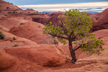 Monument Valley