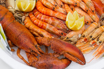 plateau de fruits de mer