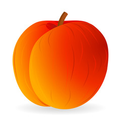 Vector illustration of peach isolated on white background