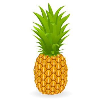 Vector illustration of pineapple isolated on white background