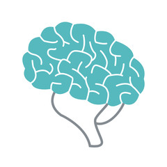 Human brain symbol icon vector illustration graphic design