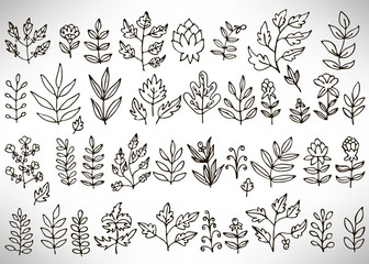 Big Floral Set of black hand drawn flowers, bushes, leaves, branches isolated on white. Collection of flourish elements for design. Vector illustration.