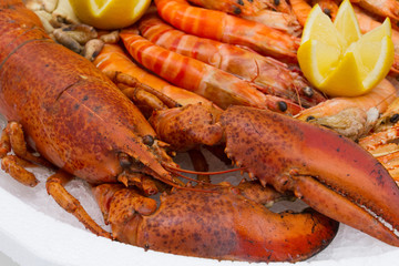 plateau de fruits de mer