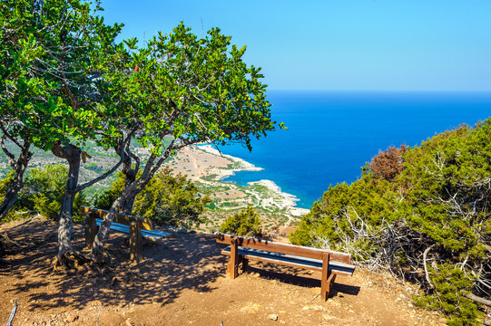 Trees with a bench against the sea, Akamas peninsula, Cyprus