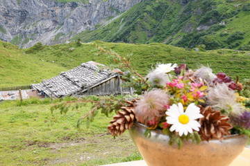 Alpenblumen