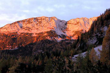 sunlit mountains in the morning with larch trees in front