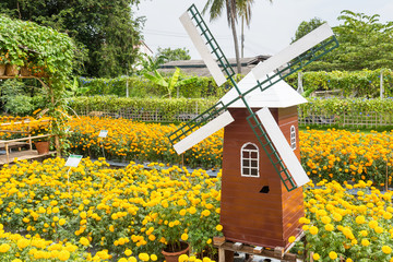 Wind Turbine in marigold flower field.Thailand.