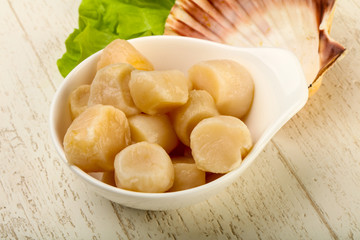 Raw scallops heap