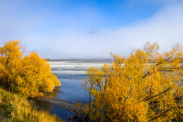 Yellow forest and river in New Zealand mountains