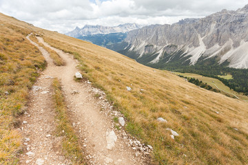 a path long an alpin pasture in the Italin Dolomites in autumn
