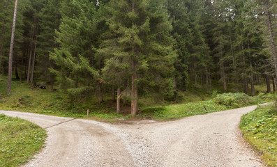 A single mountain road splits in two different directions. It's an autumnal cloudy day.