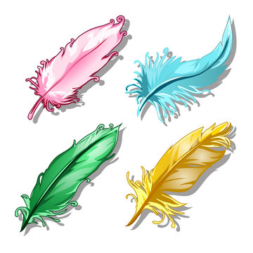 Set of multi-colored feathers. Several plumes of exotic birds. Vector illustration in cartoon style isolated on white background