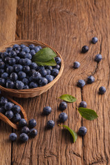 fresh blue Sloes