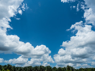 bluesky and nice cloud