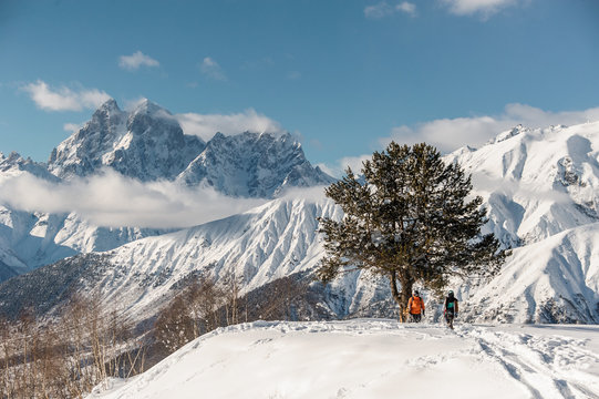 Scenic view of snowboard riders standing near the tree