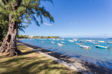 Bassin Pirogue, l'Etang-Salé-les-Bains, île de la Réunion 