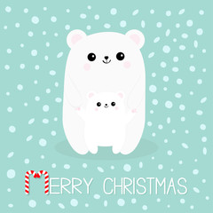 Merry Christmas Candy cane. Polar white small little bear cub. Cute cartoon character set. Mother hugging baby Arctic animal Flat design. Winter blue background with snow flake.