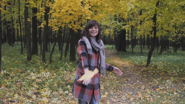 bouquet of the yellow leaves. Autumn girl walking in city park. Portrait of happy lovely and beautiful young woman in forest in fall colors.
