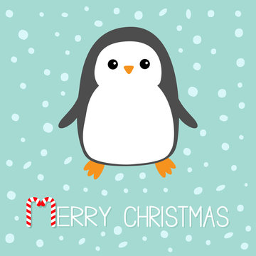 Merry Christmas Candy cane text. Kawaii Penguin bird. Cute cartoon baby character. Flat design Winter antarctica blue background with snow flake. Greeting card.