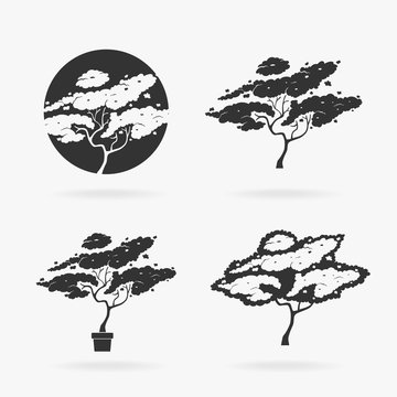 Silhouette Stencil Tree