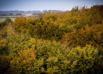 Fototapeta premium Aerial of the english countryside in Autumn / fall with dense forest and orange leaves 