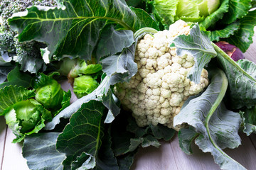 Various of Cabbage Broccoli Cauliflower. Assorted of Cabbages Background.