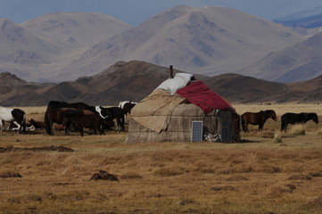 Nomad yurt or ger is the house of the mongolian nomad people during the cold snowy winter in mongolia