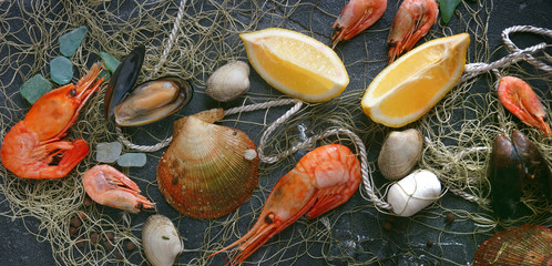 Seafood on a dark background, Shrimps, mussels, mussels on black stone, Banner