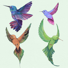Obraz premium Birds of hummingbirds. Drawing with watercolor. Wallpaper. Isolated. 
