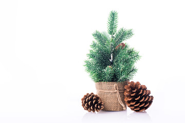 Christmas tree with pine cone isolated on white