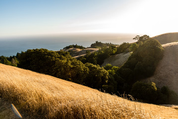 Abendstimmung in Hügel von Marin County