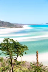 Crédence de cuisine en verre imprimé Whitehaven Beach, île de Whitsundays, Australie in australia the beach  like paradise